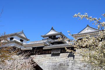 JR予讃線　伊予灘