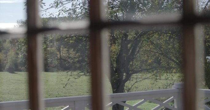Looking out the window in late summer 