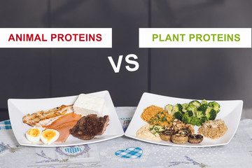 animal versus plant proteins: one plate with beef, eggs, salmon, cheese and chicken grill and...