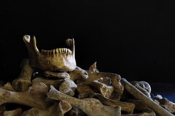 Jaw put on pile of old bone on which has dark background