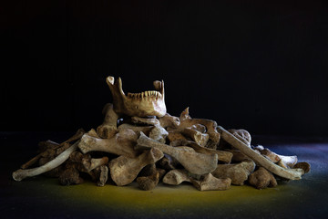 Jaw put on pile of old bone on which has dark background