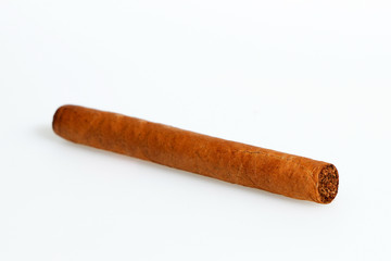 Cuban cigars on a white background