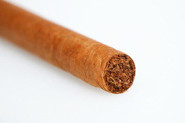 Cuban cigars on a white background