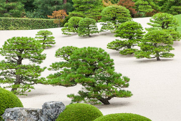japanese garden, adachi