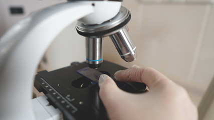 Laboratory technician makes fine-tuning of the microscope to study the samples