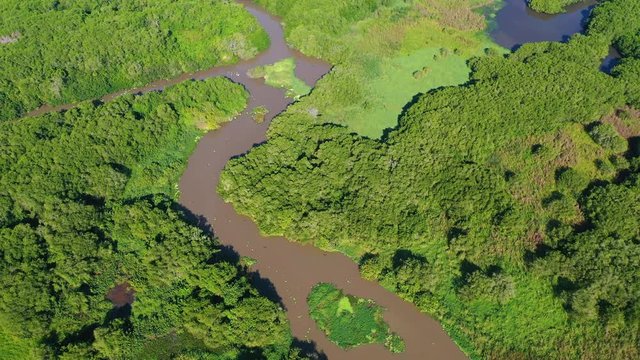 San Cristobal river, Bird sanctuary, San Blas Town, Matanchen Bay, Pacific Ocean, Riviera Nayarit, Nayarit state, Mexico, Central America, America
