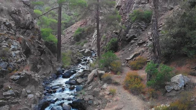 drone shot in kakopetria Cyprus forest across the river nature path. Captured in slow motion 120fps