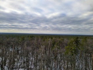 aerial panoramic view of snowy winter forest