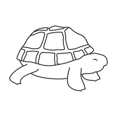 Sea turtle vector icon.Outline vector icon isolated on white background sea turtle.