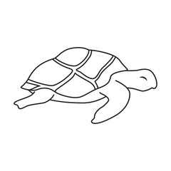 Sea turtle vector icon.Outline vector icon isolated on white background sea turtle.