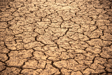 earth floor with Dry and arid soil in summer