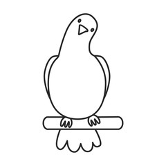 Pigeon vector icon.Outline vector icon isolated on white background pigeon.