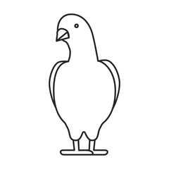 Pigeon vector icon.Outline vector icon isolated on white background pigeon.