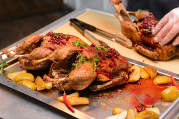 cook's hands,  cooked duck , duck baked in its own juice with lingonberry sauce on a tray,