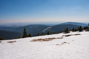 end of winter in mountains last remains after snow, czech jeseniky
