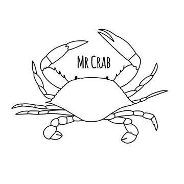 Ornate crab, sketch for your design