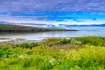 Beautiful rugged Iceland Fjord seascape