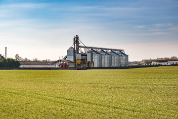 Fototapeta premium agro-processing and manufacturing plant for processing and silver silos for drying cleaning and storage of agricultural products, flour, cereals and grain. Granary elevator.