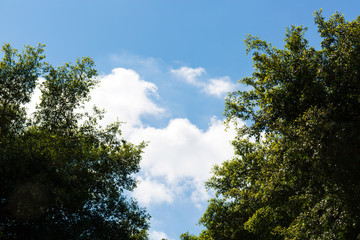 Blue sky with white clouds on a clear day and green leaves