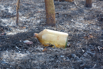 Obraz premium Bottle from flammable liquid on ashes of burnt grass after wildfire close up view. Humanity blame in fores fires, wildfires caused by humans concept