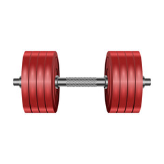 Dumbbell vector icon. Realistic vector icon isolated on white background dumbbell.