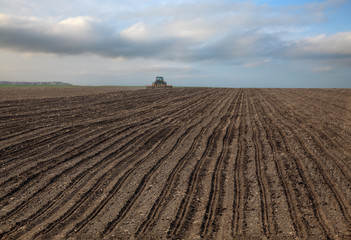 Field sowing in spring