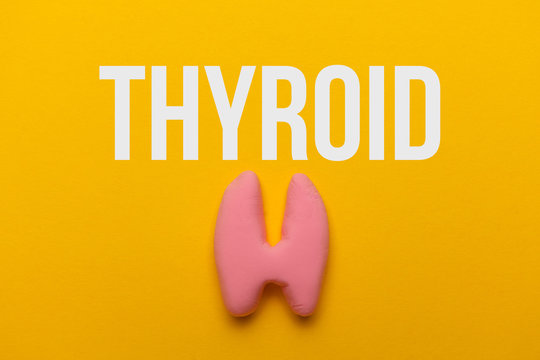Human thyroid gland on a yellow background. Treatment and prevention of the endocrine system. Symptoms of the disease and inflammation.