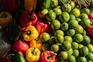 Vegetables and fruits, non-toxic and healthy for the Royal Project by the hill tribes