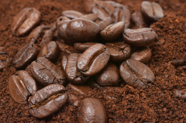 Close up,coffee beans and ground coffee(Coffee powder).