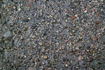 sand texture with small stone grains