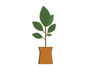 Fototapeta premium Ficus tree in a pot. Interior, home comfort. Vecton icon.