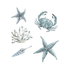 Set of watercolor illustrations with sea inhabitants. crab, starfish, coral on a white background