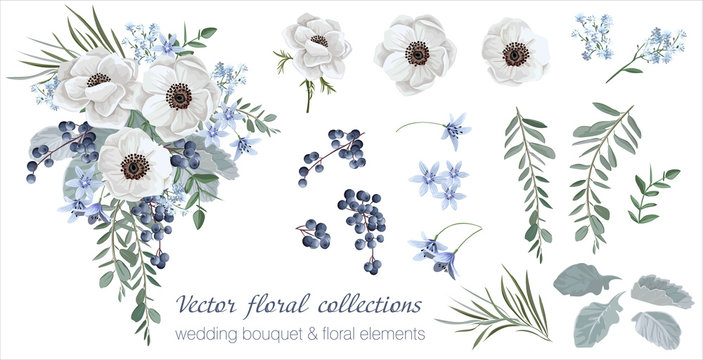 Vector floral set with leaves and flowers. Elements for your compositions, greeting cards or wedding invitations. Blueberry and white anemones