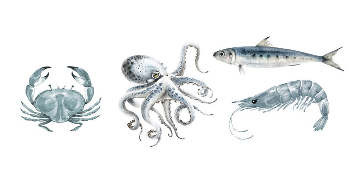 Set of watercolor illustrations with sea inhabitants. crab, octopus, shrimp and fish on a white background