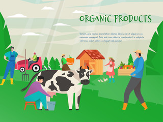 Organic farm product vector illustration, natural agriculture and farming concept. Farmer milks cow. Woman feeds chicken. Man with harvest, pumpkin and pitchfork. Combine in field near ranch barn.