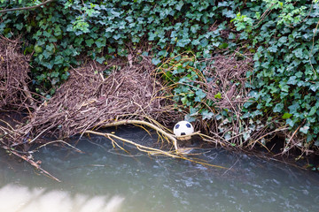 A lost or discarded childrens plastic football caught in debris at the edge of a small river