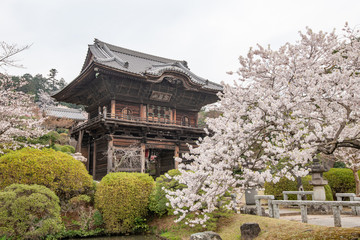 高麗山聖天院 山門 埼玉県日高市
