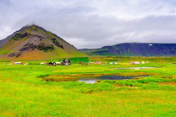 Fototapeta na wymiar Rural life on the Icelandic plains
