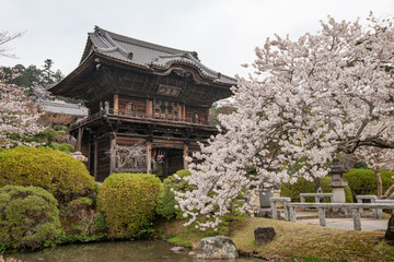 高麗山聖天院 山門 埼玉県日高市