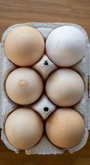 Eier in Kartonbox