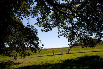 Saint Austell (England), UK - August 19, 2015: The Lost Gardens of Heligan, Cornwall, England, United Kingdom.