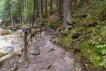 Forest path to Mumlava Waterfalls in Czech Republic