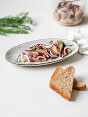 Marinated Herring fish slices with fresh dill and red onion, rye bread on the white table.