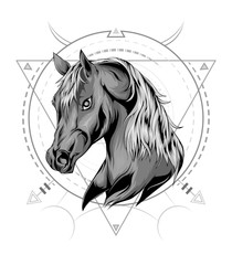 Horse head in ornament.