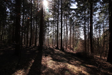 Obraz premium Landschaften aus Oberfranken im Fühling