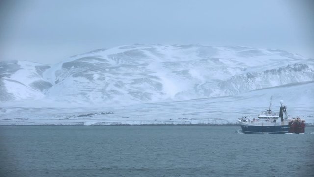 Fishing trawler sailing out to sea under snowy mountains Iceland.