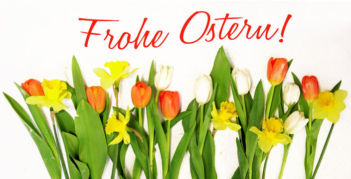 Frohe Ostern!, Osterkarte mit Tulpen und Osterglocken, Banner