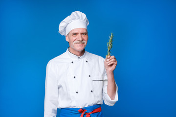 Senior italian funny chef in white uniform holding fragrant herbs for the dish, isolated on blue background