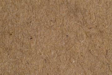 brown solid color background