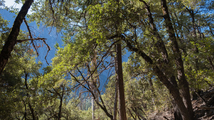 View on the mountains of Yosemite national park, with cliff and a blue sky